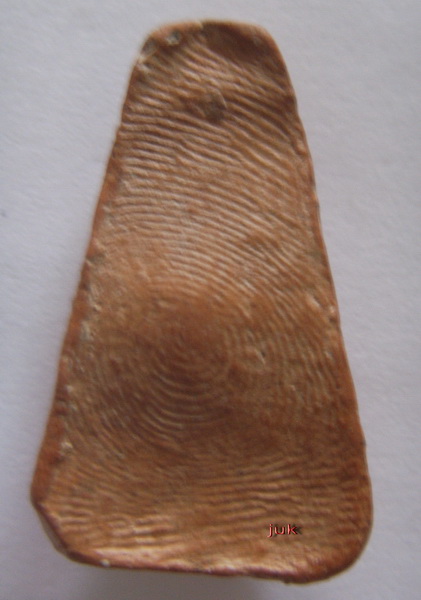 พระผงสุพรรณไม่ทราบพิมพ์ไม่ทราบว่าถึงยุคหรือเปล่า