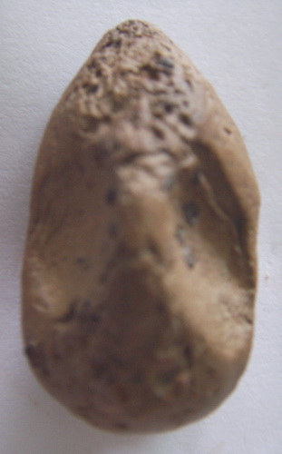 พระถ้ำเสือไม่รู้พิมพ์หน้าตั๊กแตนหรือเปล่าทันยุคไหมครับ