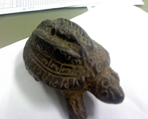 ขอทราบข้อมูลเต่า รบกวนด้วยครับ