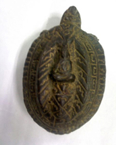 ขอทราบข้อมูลเต่า รบกวนด้วยครับ