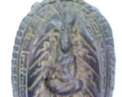 รูปเต่าเพิ่มครับ