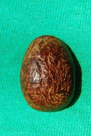 ขอคำชีแนะจากพี่ๆด้วยครับ