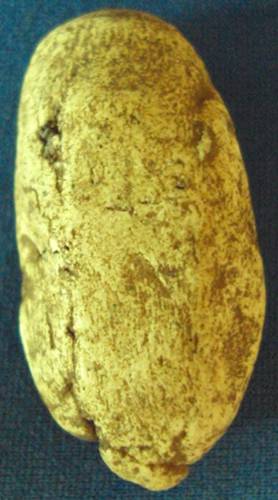 พระกรุวัดพลับ