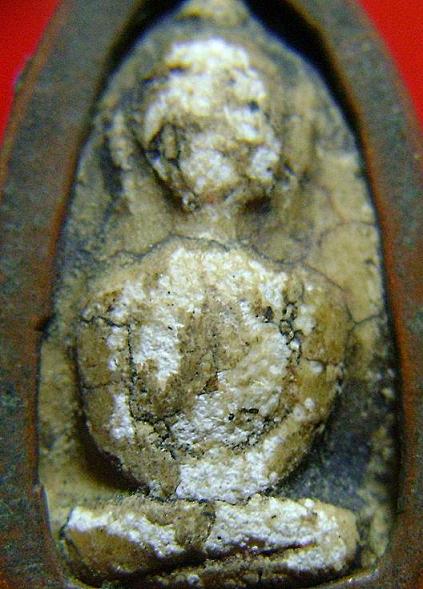 วัดพลับครับ