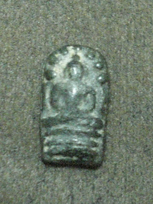 ปรกเนื้อชิน 