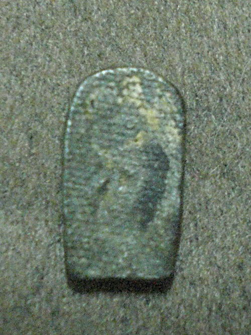 ปรกเนื้อชิน 