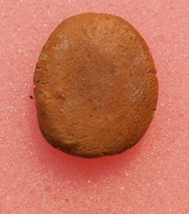 พระซุ้มกอดีไหมครับ