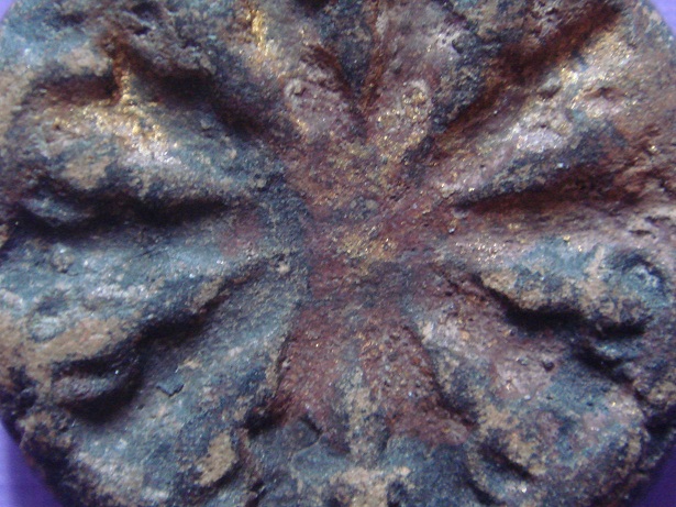 งบน้ำอ้อย ดีไหมครับ (ถ่ายใหม่ครับ)