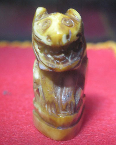 รบกวนเพื่อนสมาชิกเช็คเสือตัวนี้ให้ผมหน่อยครับ