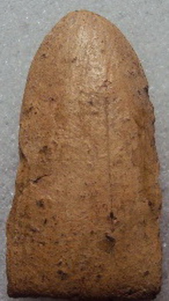 พระรอด มหาวันหรือเปล่า