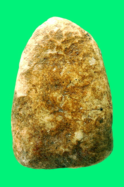 พระวัดพลับใช่ไหมค่ะ