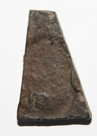 สอบถาม ผู้รู้ช่วยดูให้หน่อยค่ะ