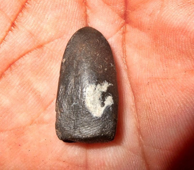 ขอเชิญกูรูมาช่วยพิจารณาทีว่าพระรอดนี่แท้ไหมครับ