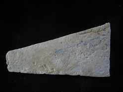 บางขุนพรหม09อีกพิมพ์ครับ