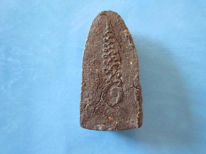 หลวงปู่ทวดไม่ทราบว่าสร้างที่ไหน