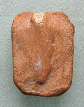 หลวงพ่อปานองค์นี้ดีไหมครับ