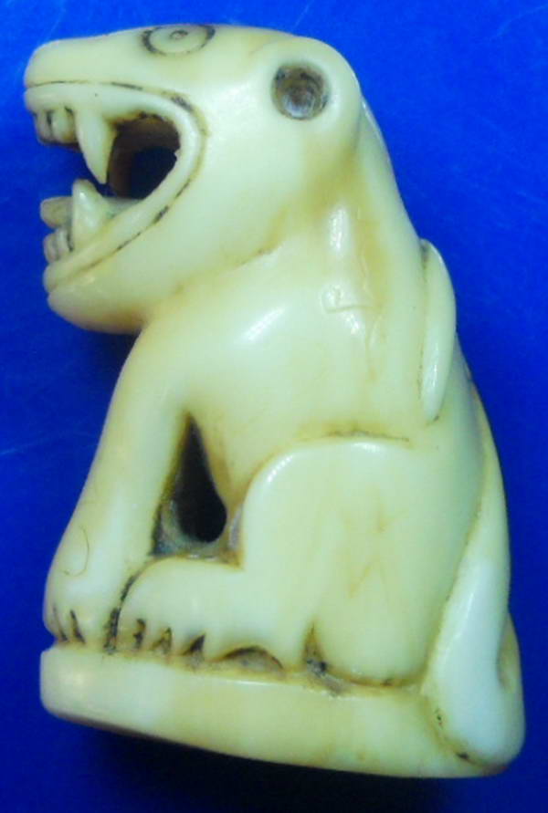 เขี้ยวเสือใหญ่ กว้าง1.5ซ.มสูง3ซ.ม