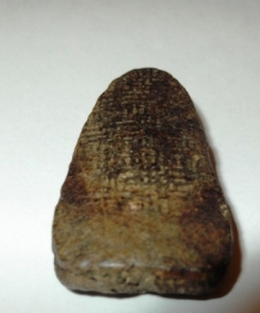 รบกวนเซียนหลวงปู่ทวดติ-ชมหน่อยครับ