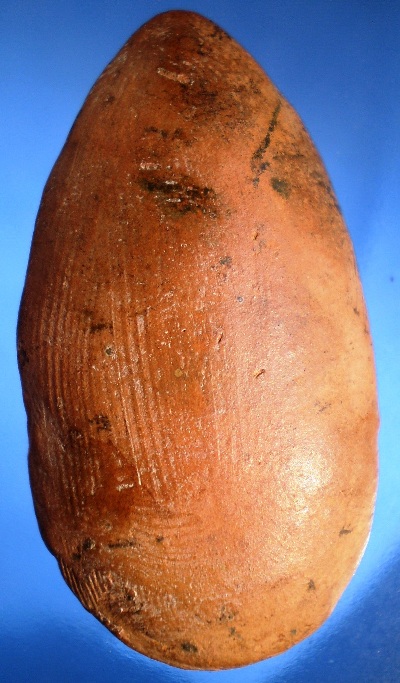 ไข่ผ่าซีก