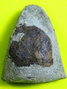 พระของพ่อไม่รู้ที่ครับ