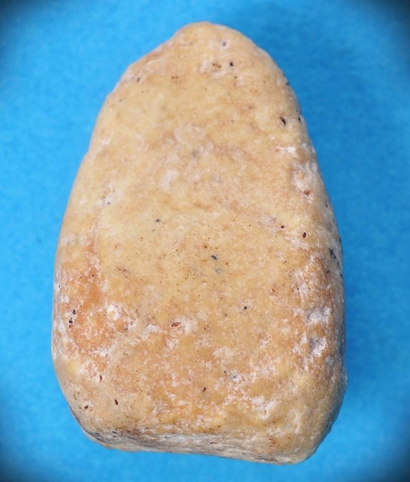 [Auto] ทวีคุณพระเครื่อง - วัดพลับ 