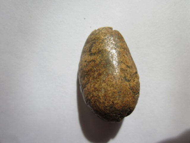 ใช่พระพิจิตรหรือไม่ครับ