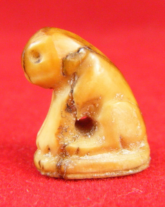 [Auto] teetik - เขี้ยวเสือสาริกาแกะสลักเก่า มากๆมีจารยันต์เดิม