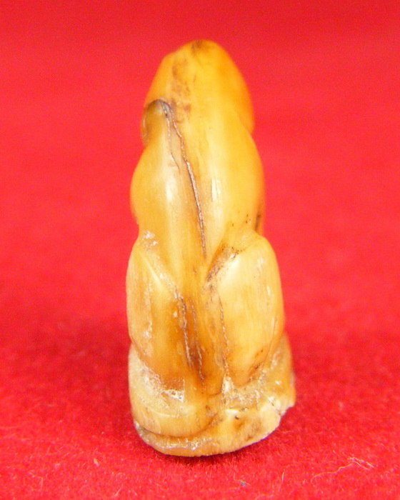 [Auto] teetik - เขี้ยวเสือสาริกาแกะสลักเก่า มากๆมีจารยันต์เดิม