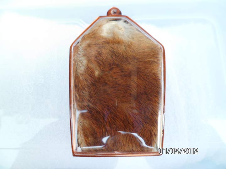 หนังเสือไม่ทราบที่