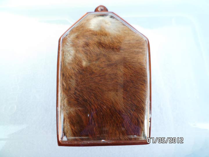 หนังเสือไม่ทราบที่