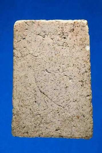 สายสมเด็จช่วยหน่อย