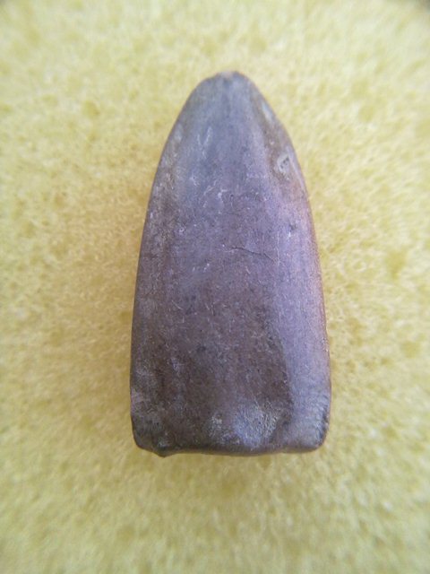 [Auto] gmr - พระรอดไม่ทราบที่ เนื้อดินแกร่งดุจหินครับ