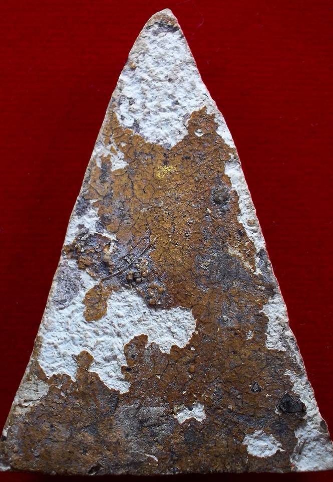 กรุวัดสามปลื้มครับ