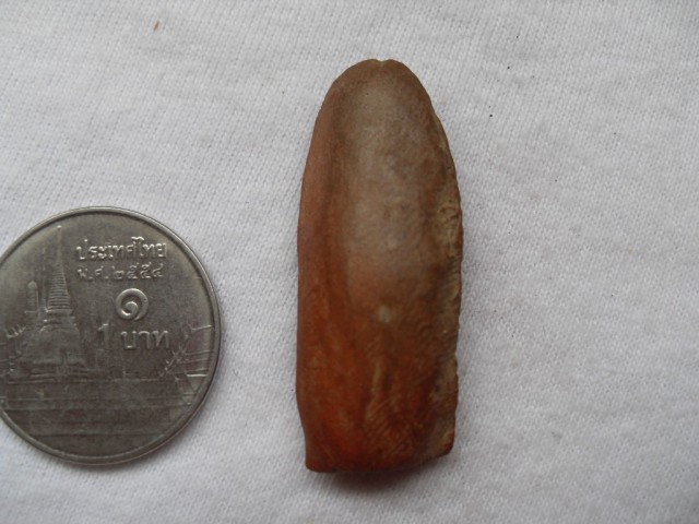 พระลีลา