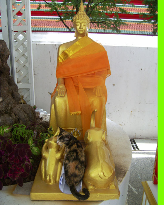 หลวงพ่อโตวัดป่าเลไล ขำๆ