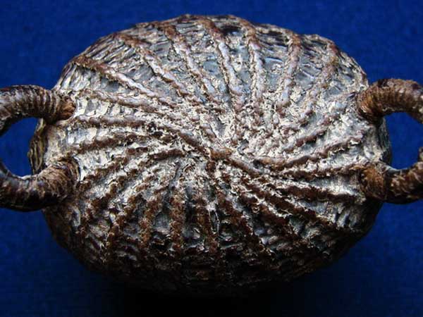 [Auto] บึงของหลง - @@@...เบี้ยแก้...สายไหน...ใครรู้ที่...แวะชมดูก่อนค่ะ...@@@