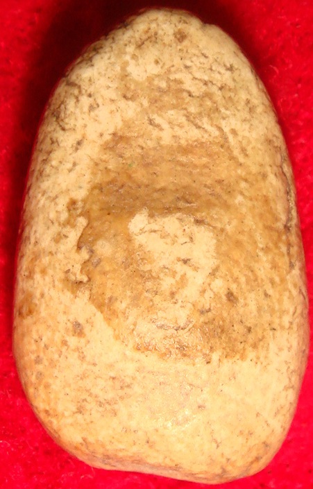 ช่วยดูพระวัดพลับ