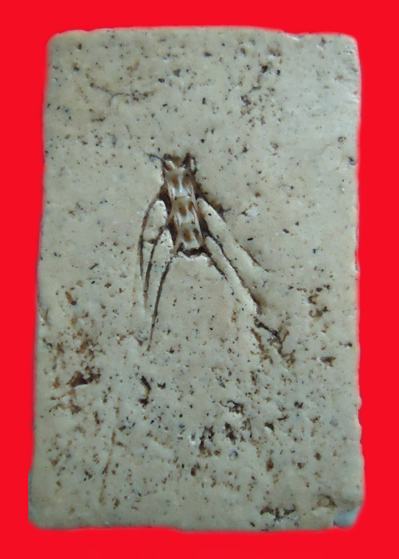 [Auto] boomman - พระสมเด็จไม่ทราบที่ พิมพ์แปลกดี มีก้างปลาแปะข้างหลัง