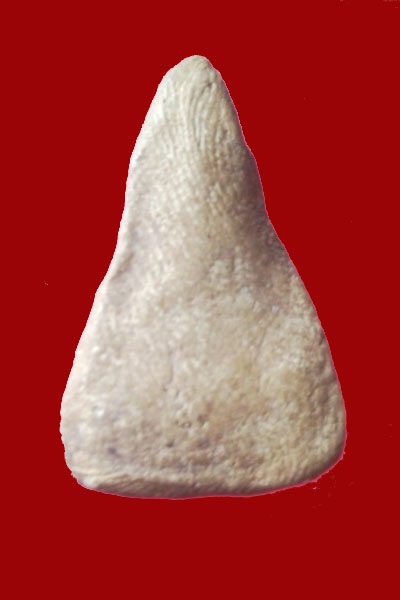 [Auto] hasaya - พระนาง พิมพ์หูกระต่าย (นิยม) กรุดอนลาน จ.สุโขทัย