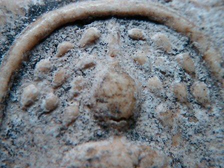 อยากรู้สมเด็จองค์นี้ที่ไหนสร้างครับ