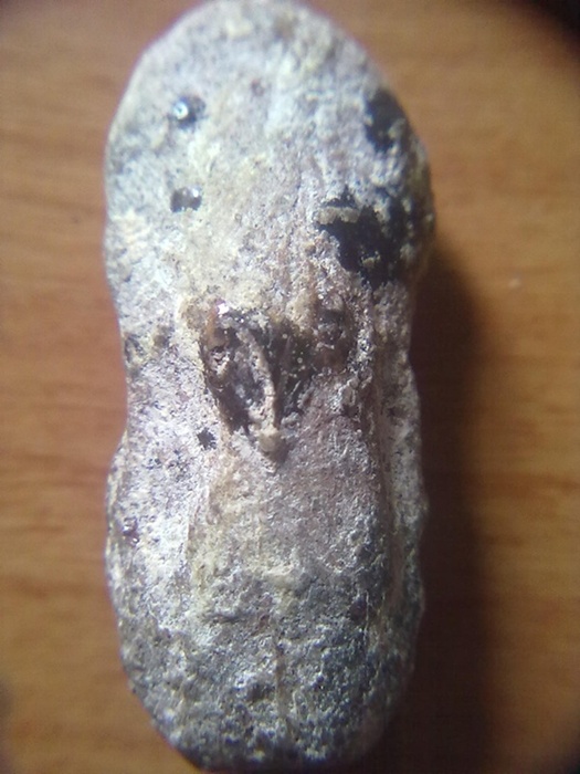 ลบกวน ดูกรุนาดูน  ให้ด้วยคับ พ่อตาให้มากับมือ