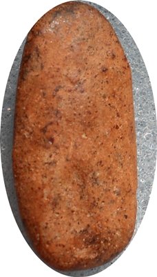 เปิดโลกยืนตอ