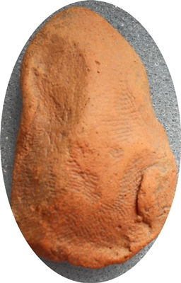 ชินราชใบเสมาดิน