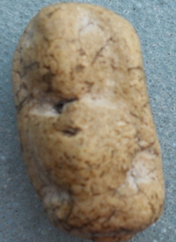 พระวัดพลับ