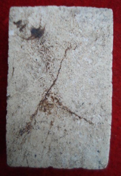 [Auto] boyinlove - สมเด็จวัดโพธิ์เริ่ม100ครับ