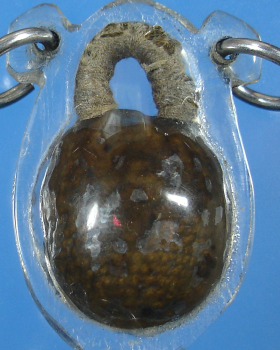 รบกวนสายอาจารย์เครื่องรางพิจารณา  หมากทุย!!!!!!!