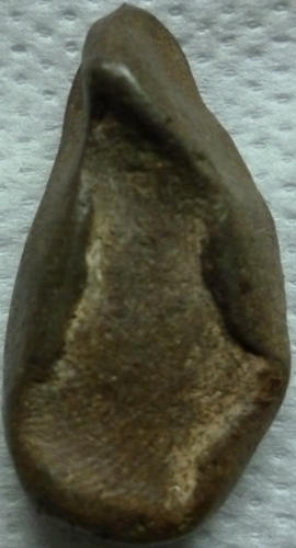 กลีบบัวกำแพง