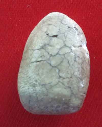 สมเด็จตุ๊กตาวัดพลับ