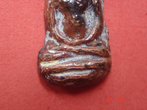 พระนาคปรก สนิมแดง กรุลพบุรี