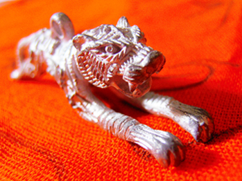 เสือใหญ่ปืนแตกยันต์กลับ  ประธาน 3 โค๊ด 1 ชุดและเสือตะกั่วใหญ่ 2 โค๊ด 1 ตัว หลวงพ่อแย้ม วัดตะเคียน